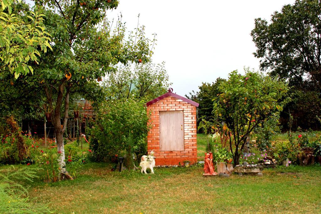 Guest House Melissa Duisi Esterno foto
