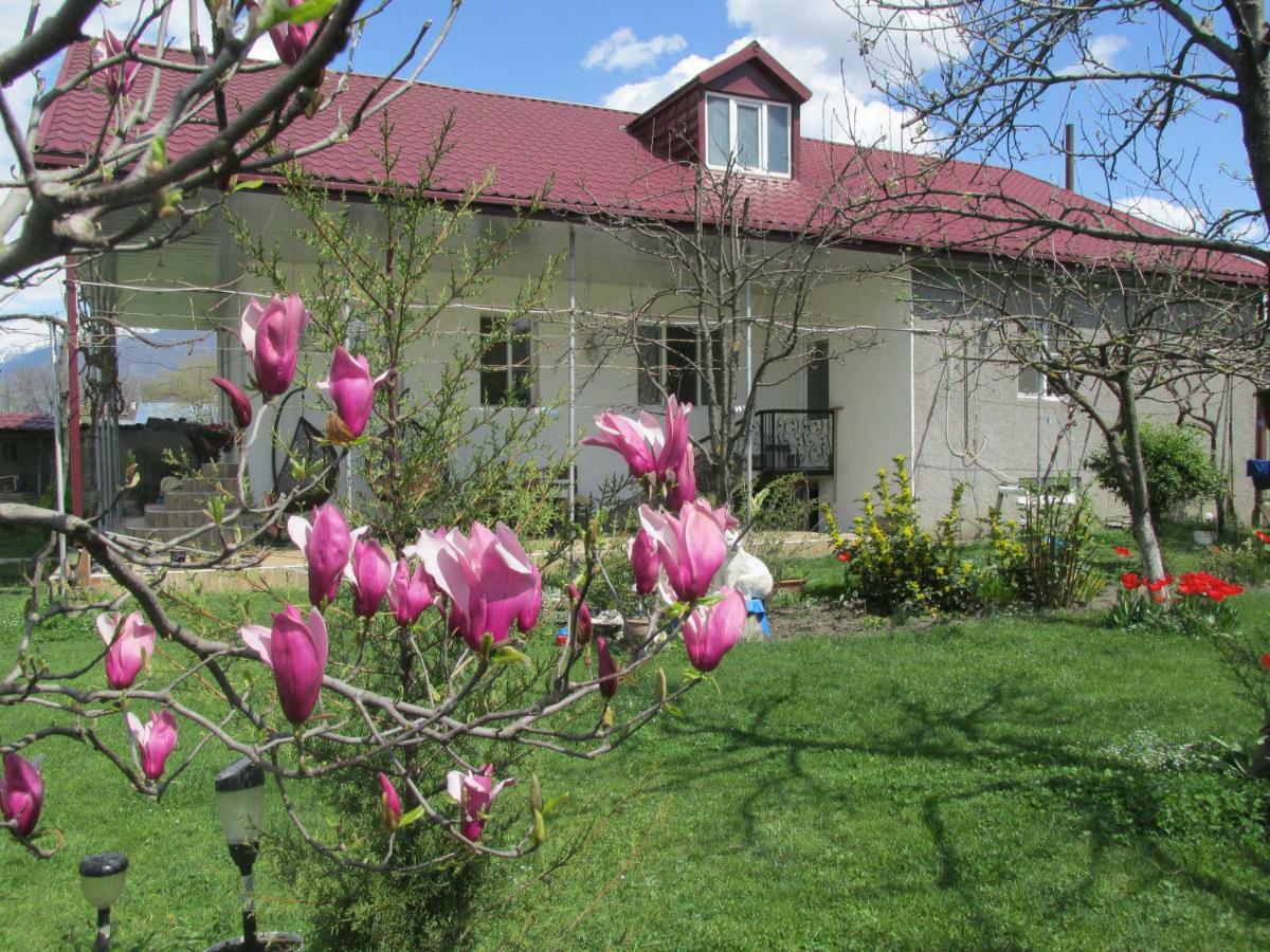Guest House Melissa Duisi Esterno foto